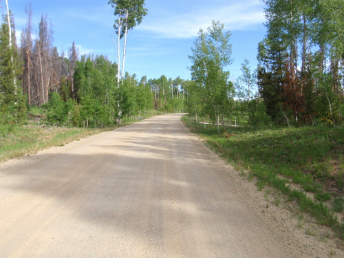 Medicine Bow NF, GDMBR; 24 July, 2013.